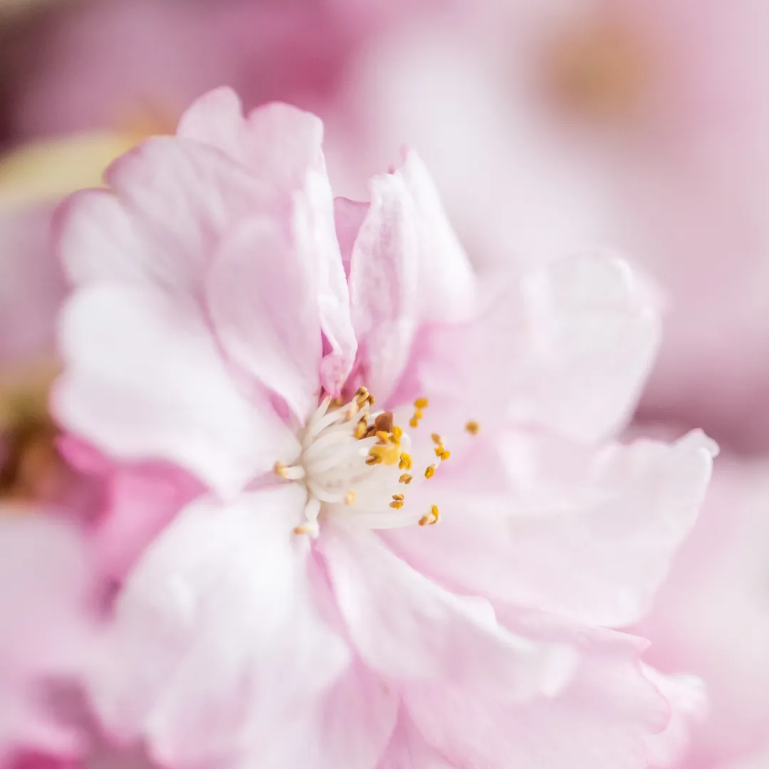 a2cfbc67f4be81f6d9c315a2af74292a-sz_1150614 a2cfbc67f4be81f6d9c315a2af74292a-sz_1150614