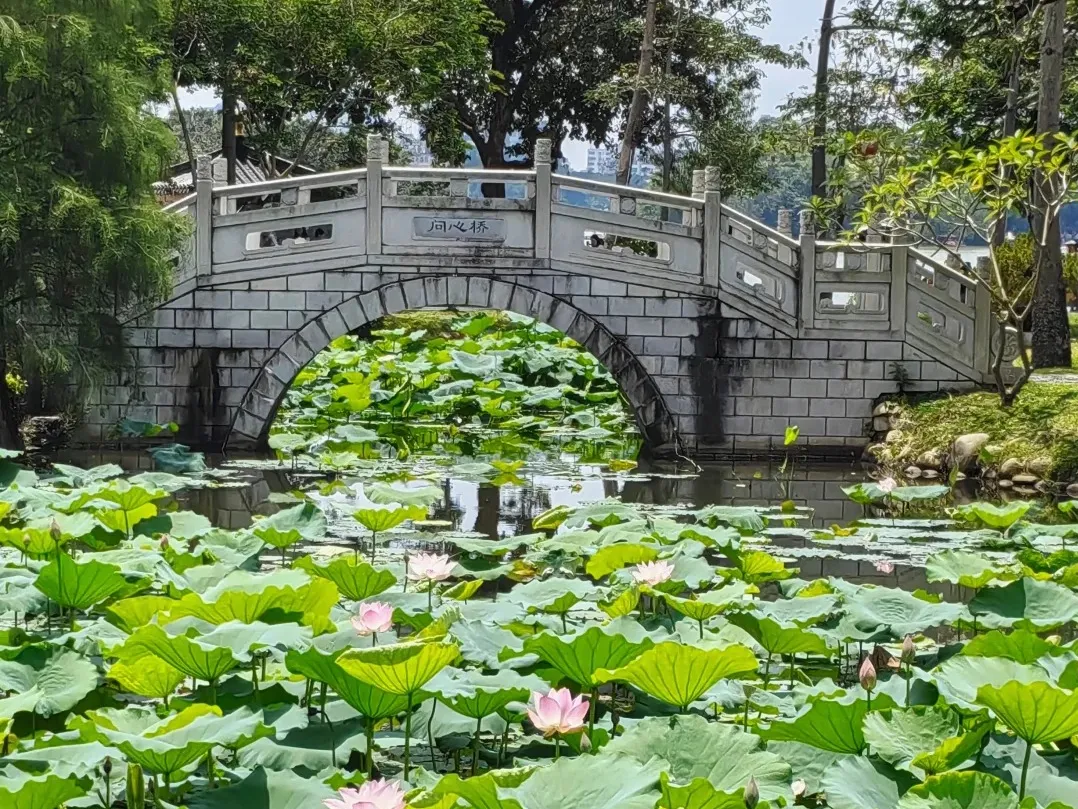 a2ffe56b8f55f87b2f550057b0857c59-sz_668505