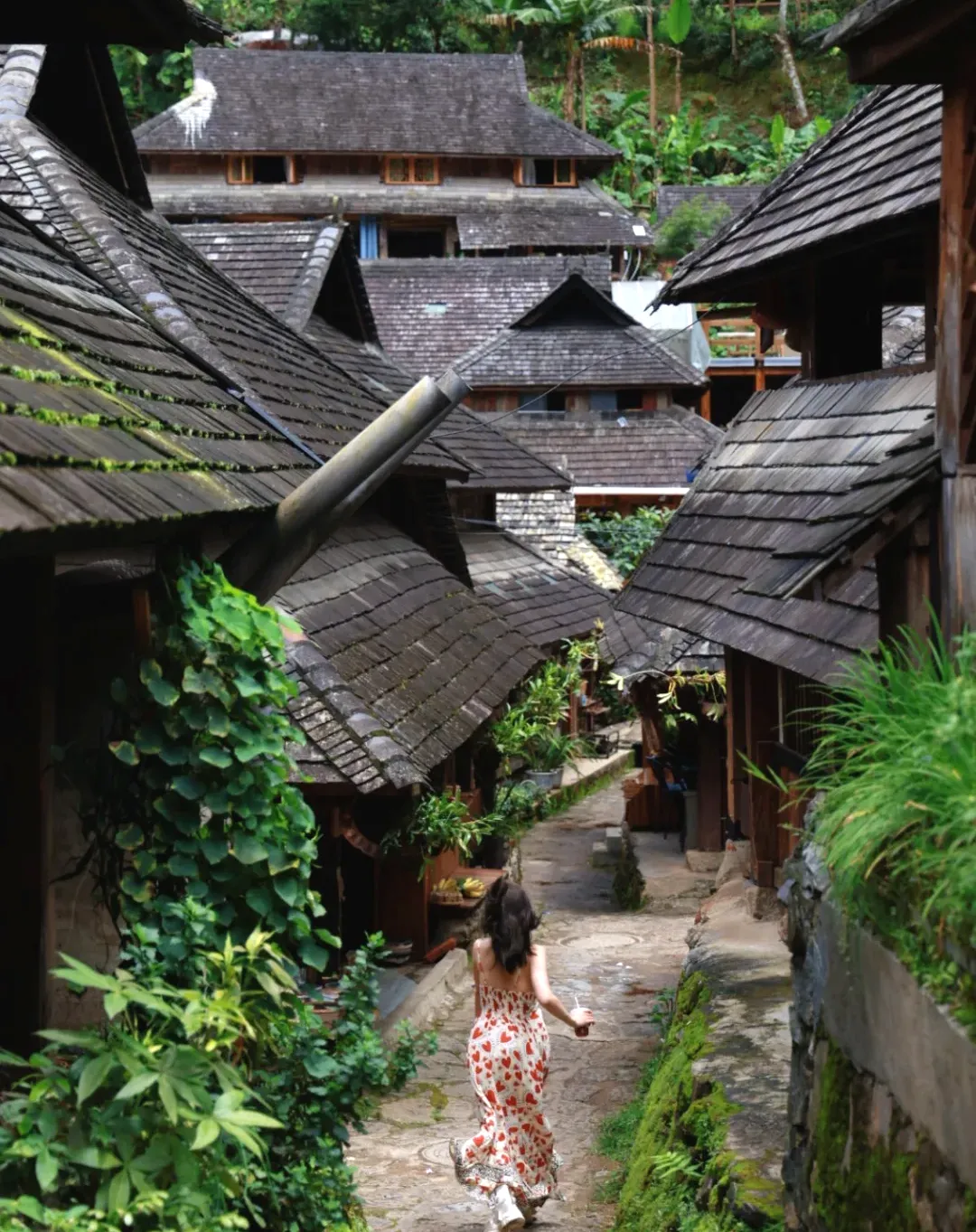 a31452e407a9caf69eccba6da4576414-sz_2434249