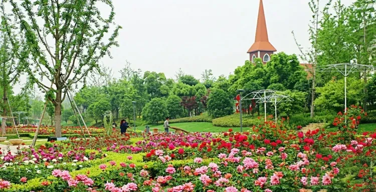 a33043946c4f0d4ec51770a7a4f15672-sz_1089034 a33043946c4f0d4ec51770a7a4f15672-sz_1089034