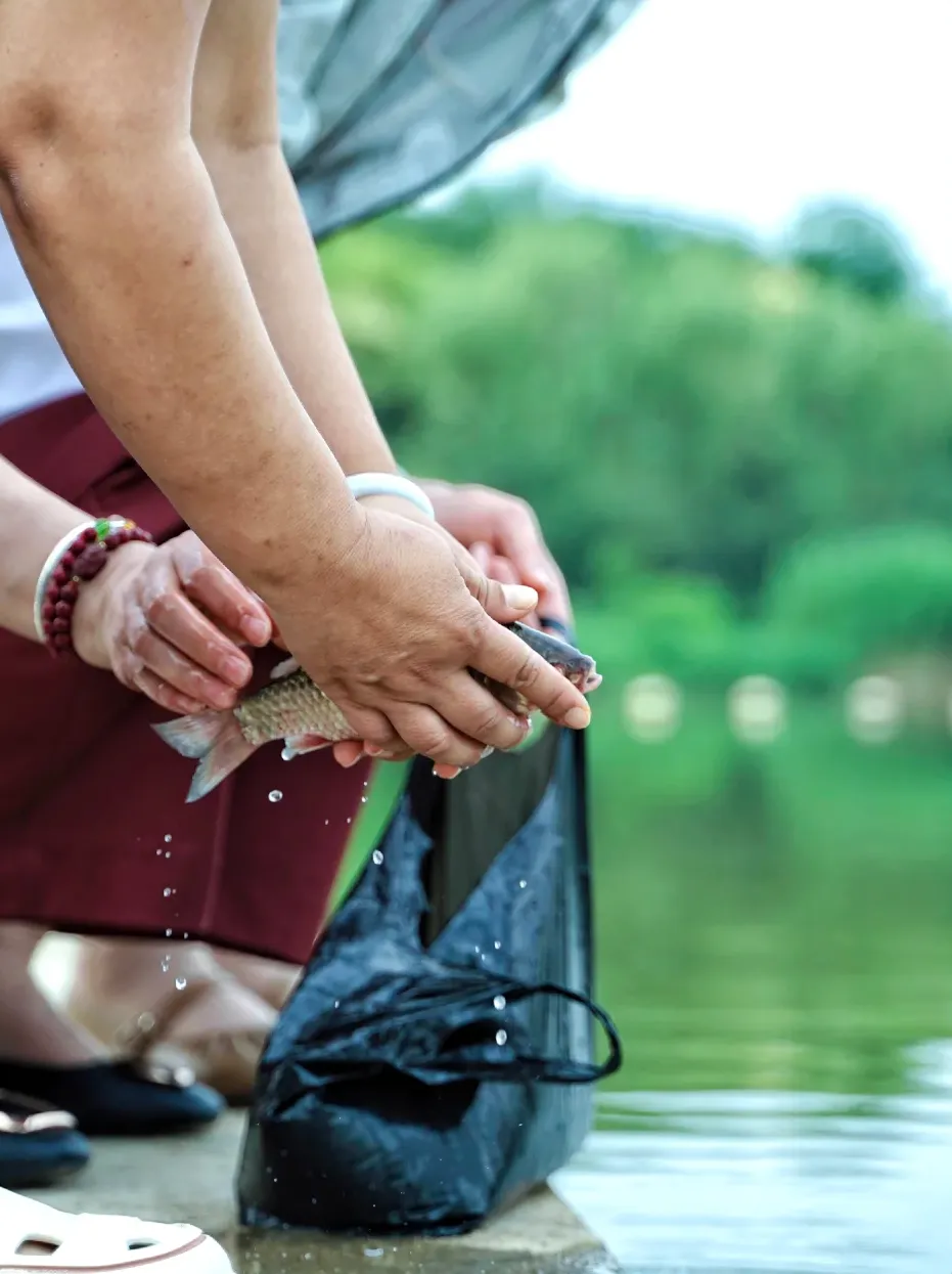 a359e46fa8f84d971a17955cfa325236-sz_1163650