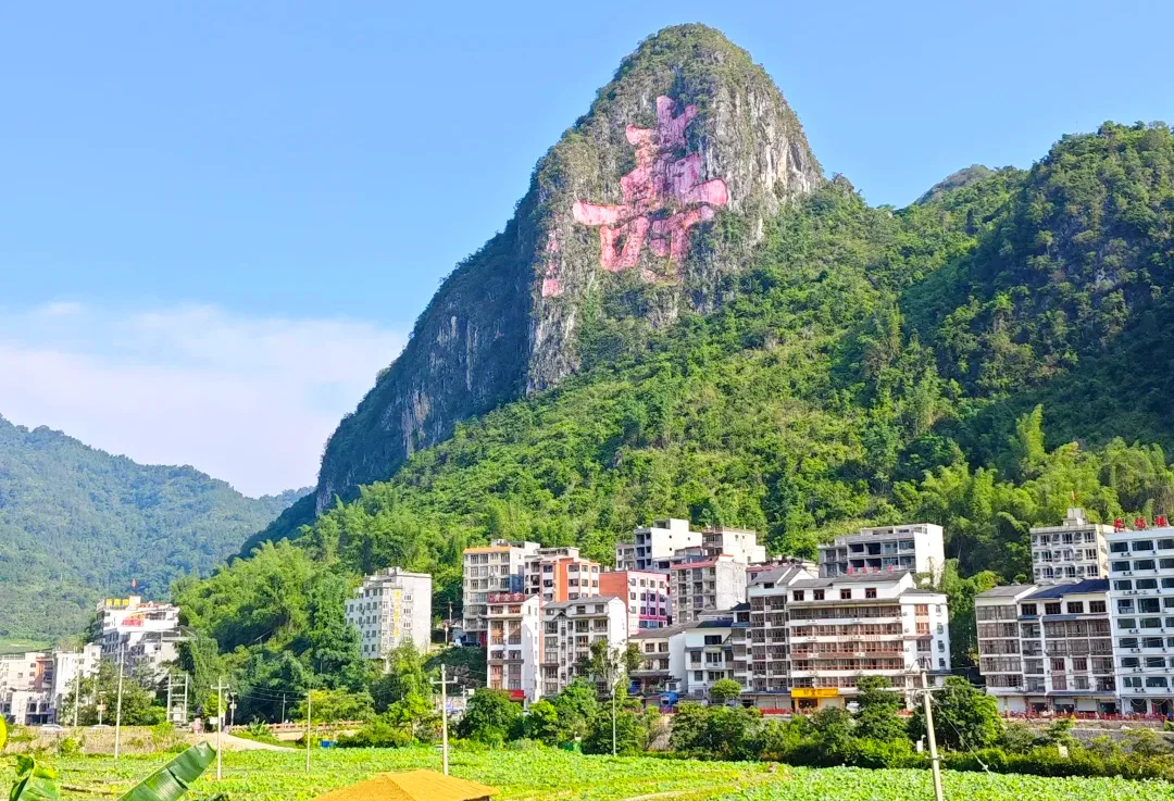 a3c91fca6e766a3956794f3b69450e0d-sz_2155467