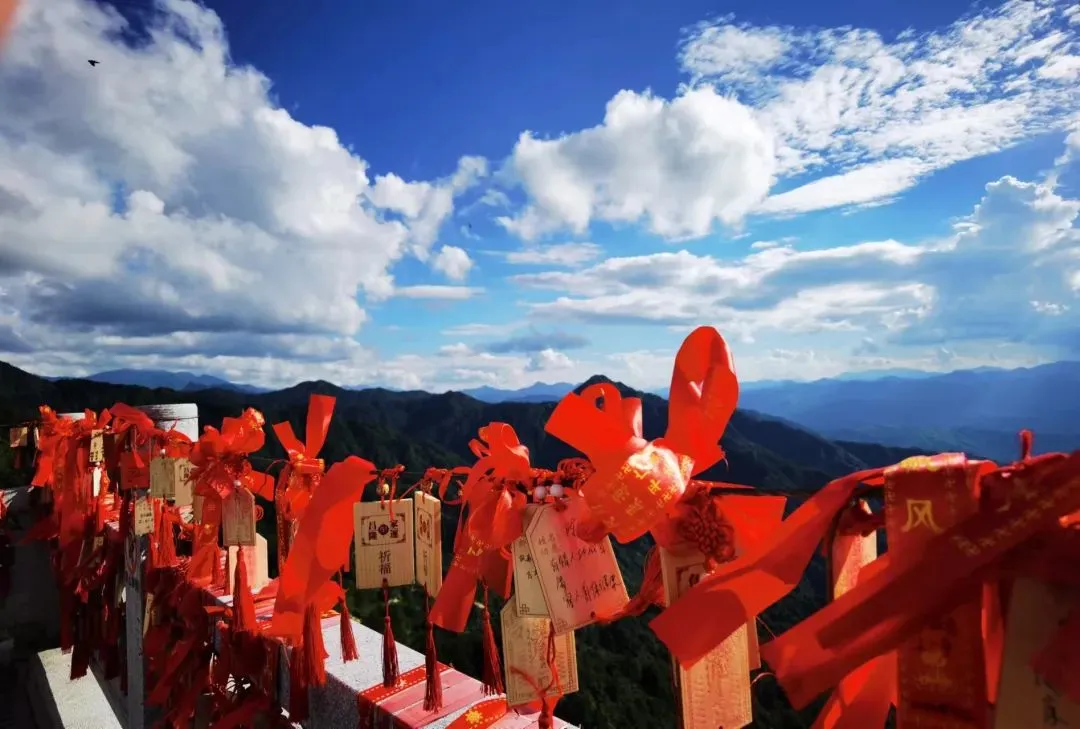 a3ce8a7c8ef0f5f428be175fe016bab0-sz_110308-1