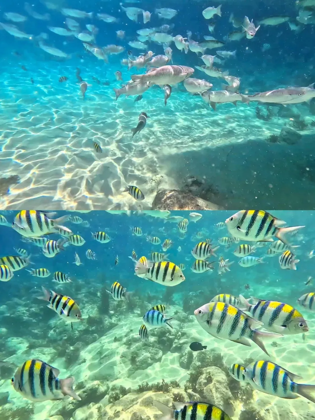 a3f3eecede2679c201e83b4c7fc715b3-sz_373038