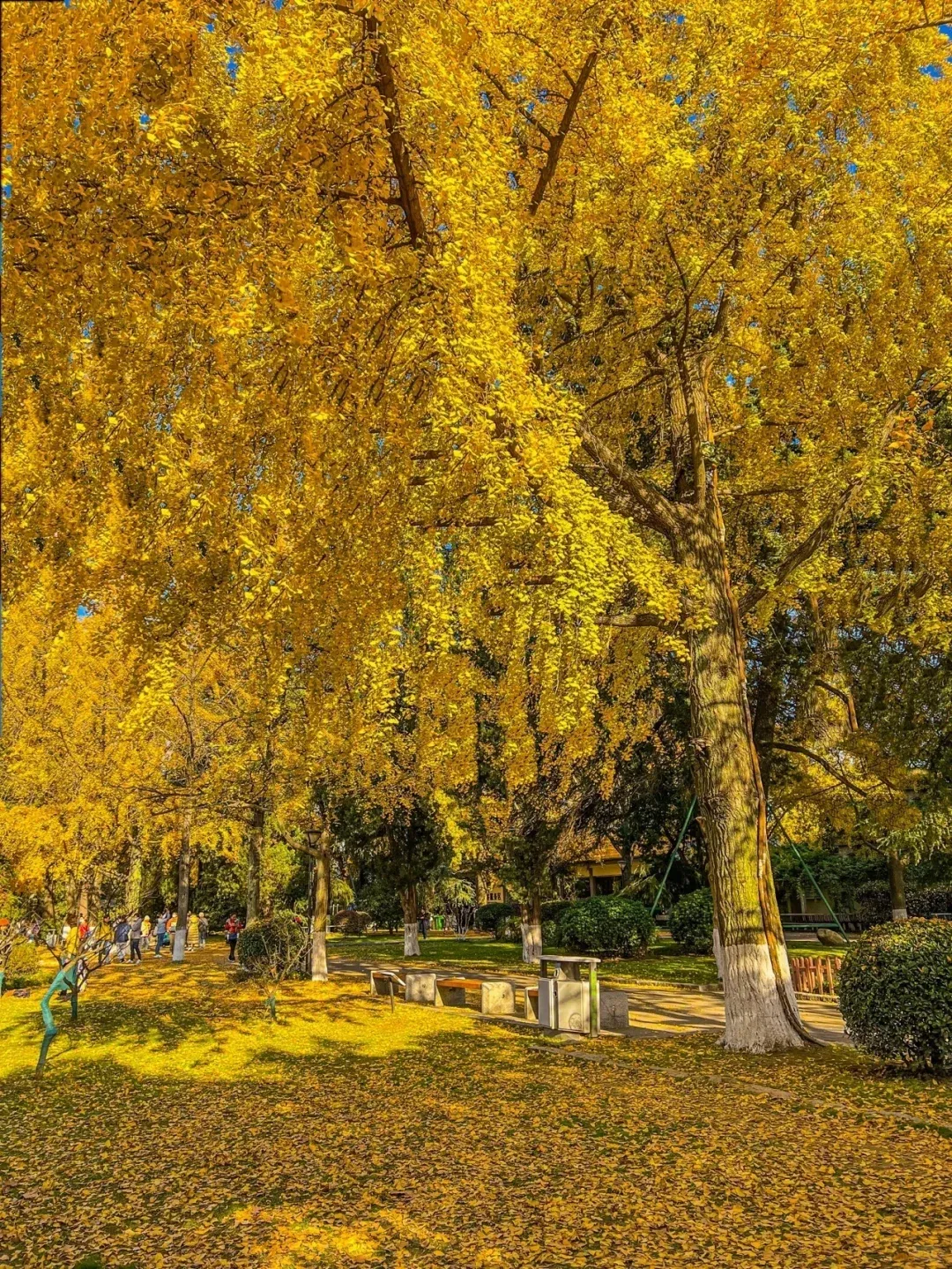 a3f68c5fe21a2ac397406b084bc406aa-sz_3741556 a3f68c5fe21a2ac397406b084bc406aa-sz_3741556