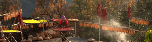 a418b35f2f45a0f416a08973db1f88bf-sz_1008582