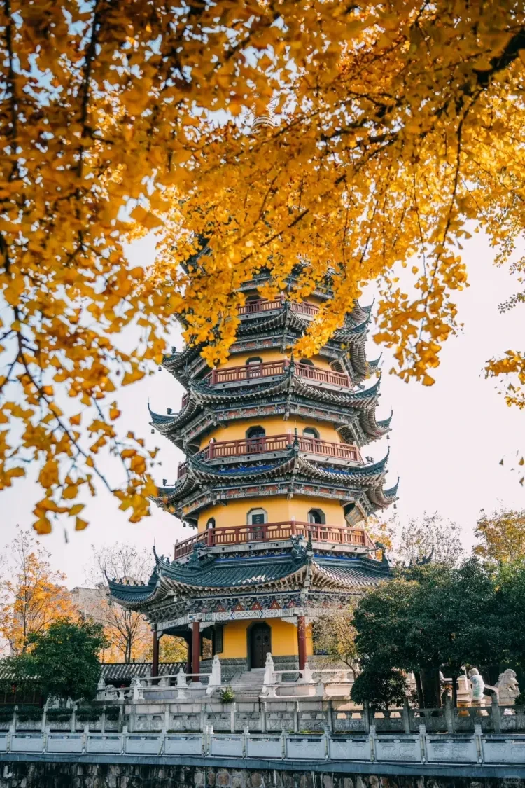 a41c440c46e9673568ccd9b9c028db9e-sz_4292392-1