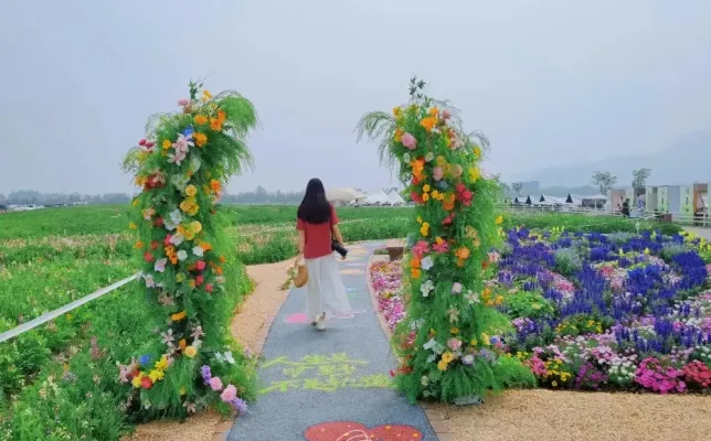 a439c9100bd4c6a0b4c45e63c0656eb0-sz_424097 a439c9100bd4c6a0b4c45e63c0656eb0-sz_424097