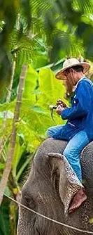 a4666ed7fe74d3dbe71e8750cf04e9da-sz_136043 a4666ed7fe74d3dbe71e8750cf04e9da-sz_136043