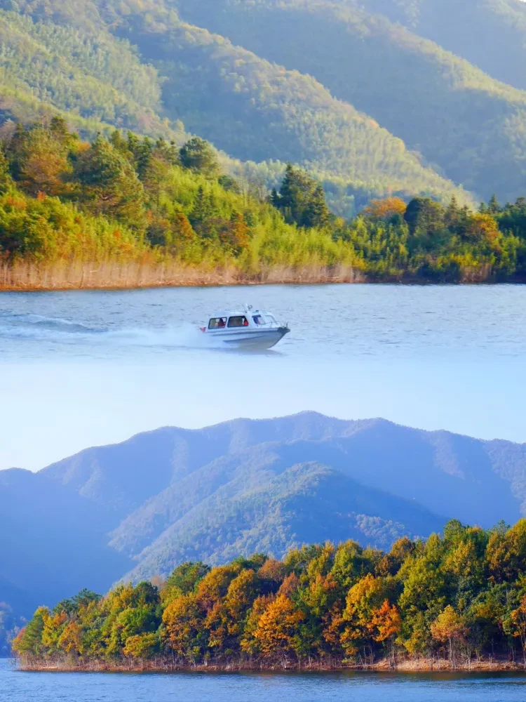 a4f8f01001292e577b56001404916e16-sz_876575 a4f8f01001292e577b56001404916e16-sz_876575