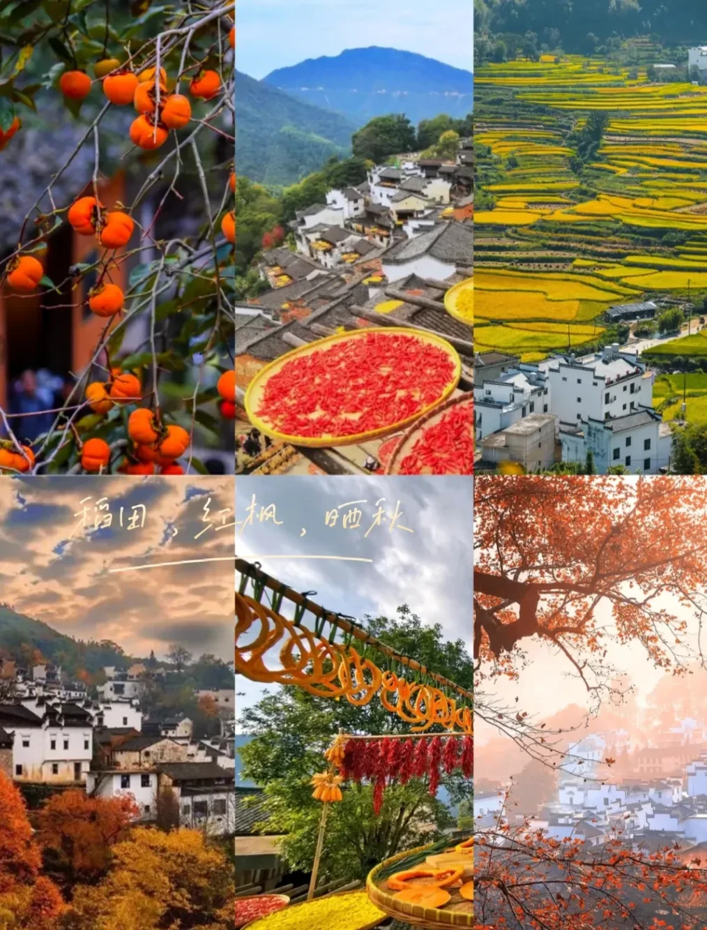 a501a486c9cd962ee48b49ed95bd5098-sz_2817729