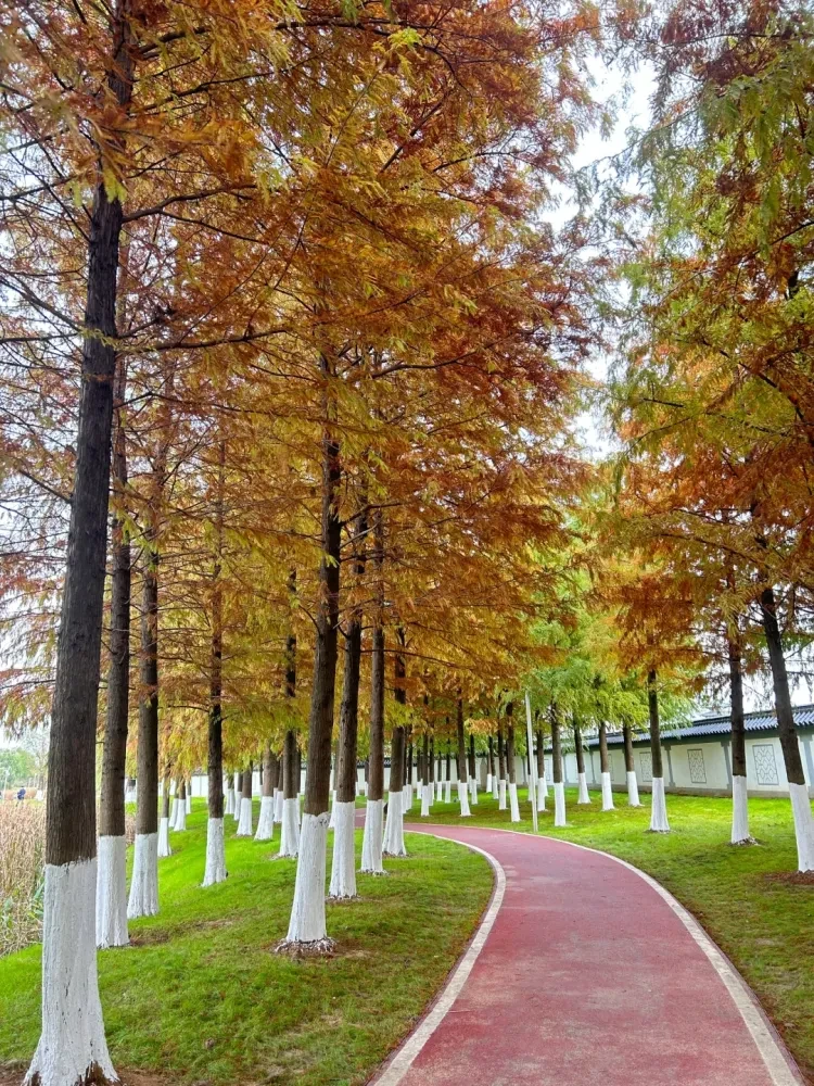 a514b93b8112280199f43fde4f4b8f48-sz_4507673