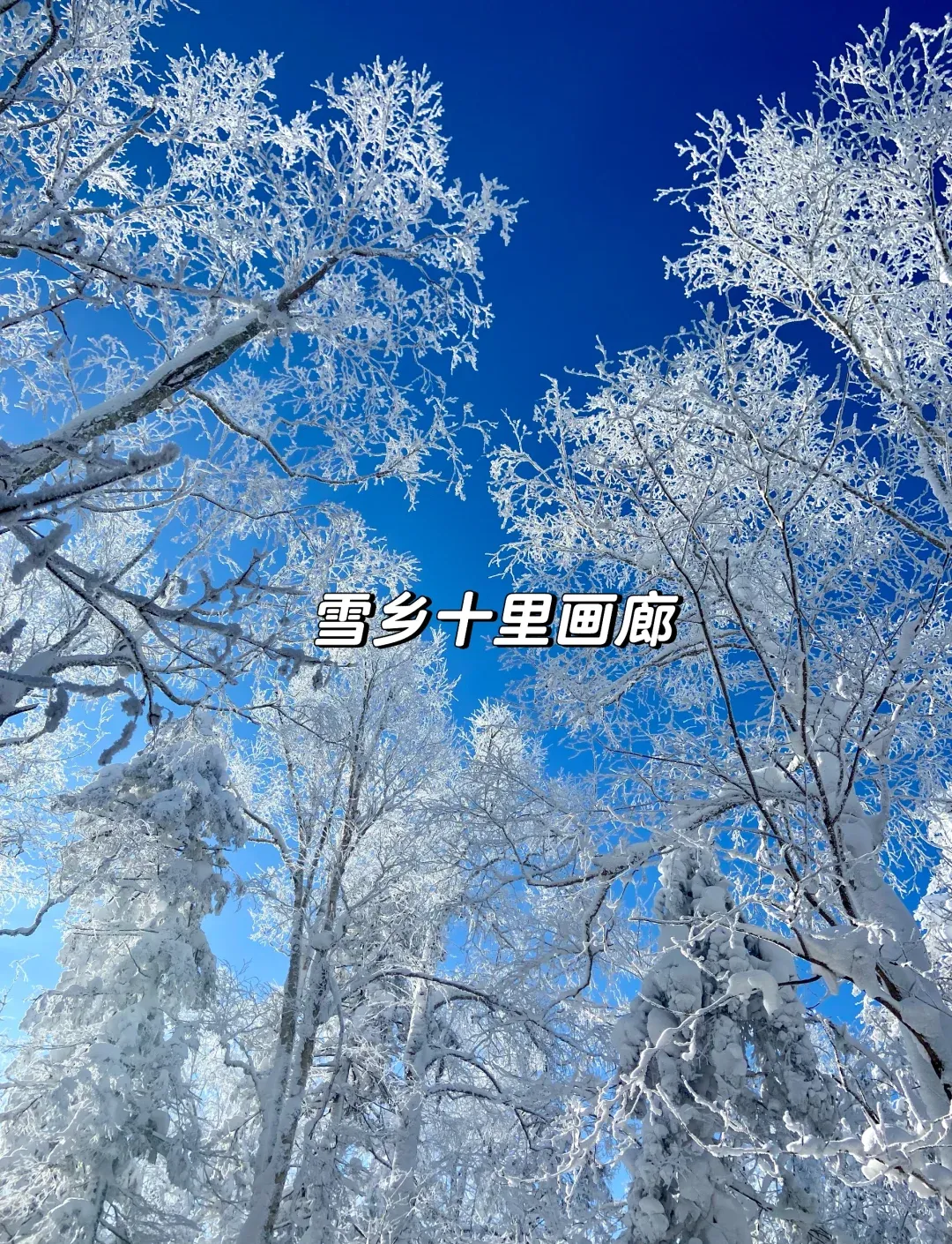 a59be92f750d550242fe3e83527aab3e-sz_3541608 a59be92f750d550242fe3e83527aab3e-sz_3541608