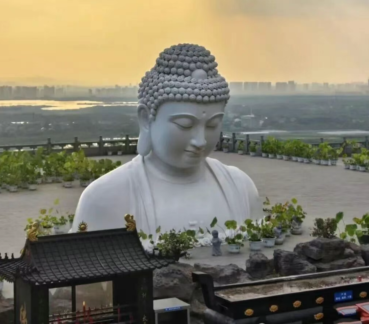 a5d901d9a7e90b57efdb1849a24bc537 a5d901d9a7e90b57efdb1849a24bc537