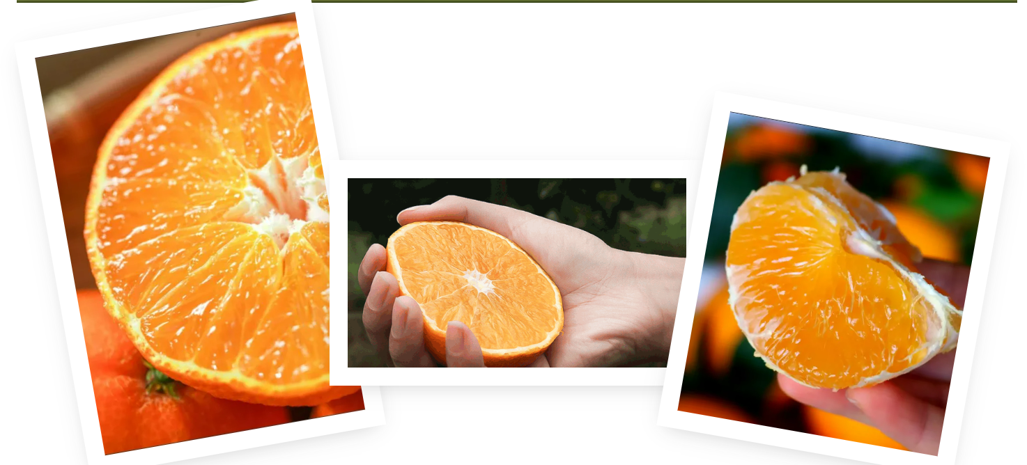 a5ef9dfccbdb62e4c7454a57e2cb8a22