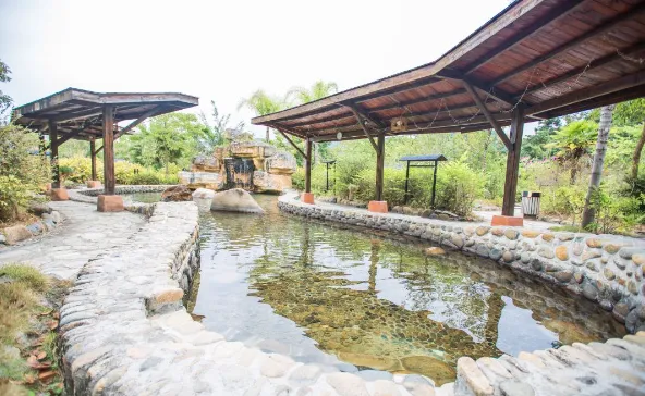 a61725502798fba7afa9980ccf1a1117-sz_462472