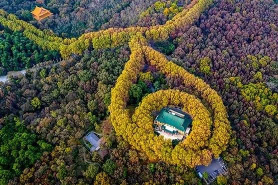 a63f2bbab629f3779a41025136085883-sz_83560