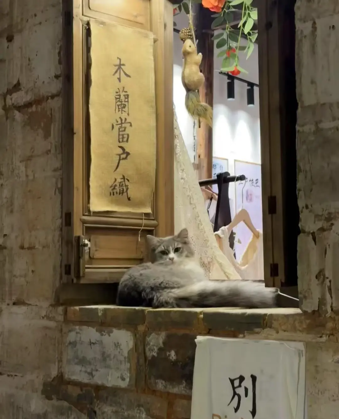 a65214aa511d01b2bcc00fa6de00a376-sz_176423