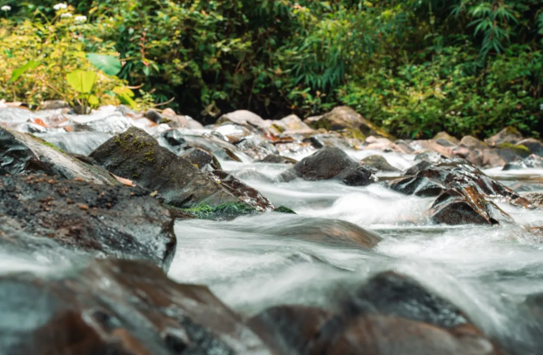 a673cee7b3d8a78d14e7e7b6f957d6a1-sz_7831562 a673cee7b3d8a78d14e7e7b6f957d6a1-sz_7831562