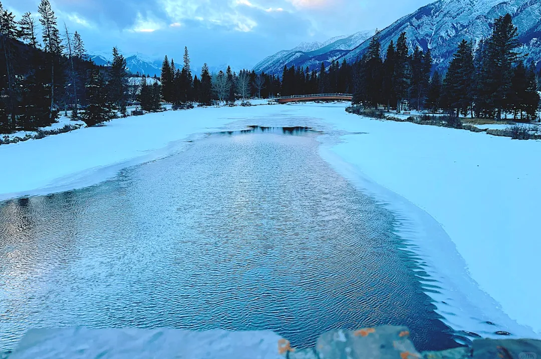 a6939195c6d29a74065061e072ba6452-sz_2676058