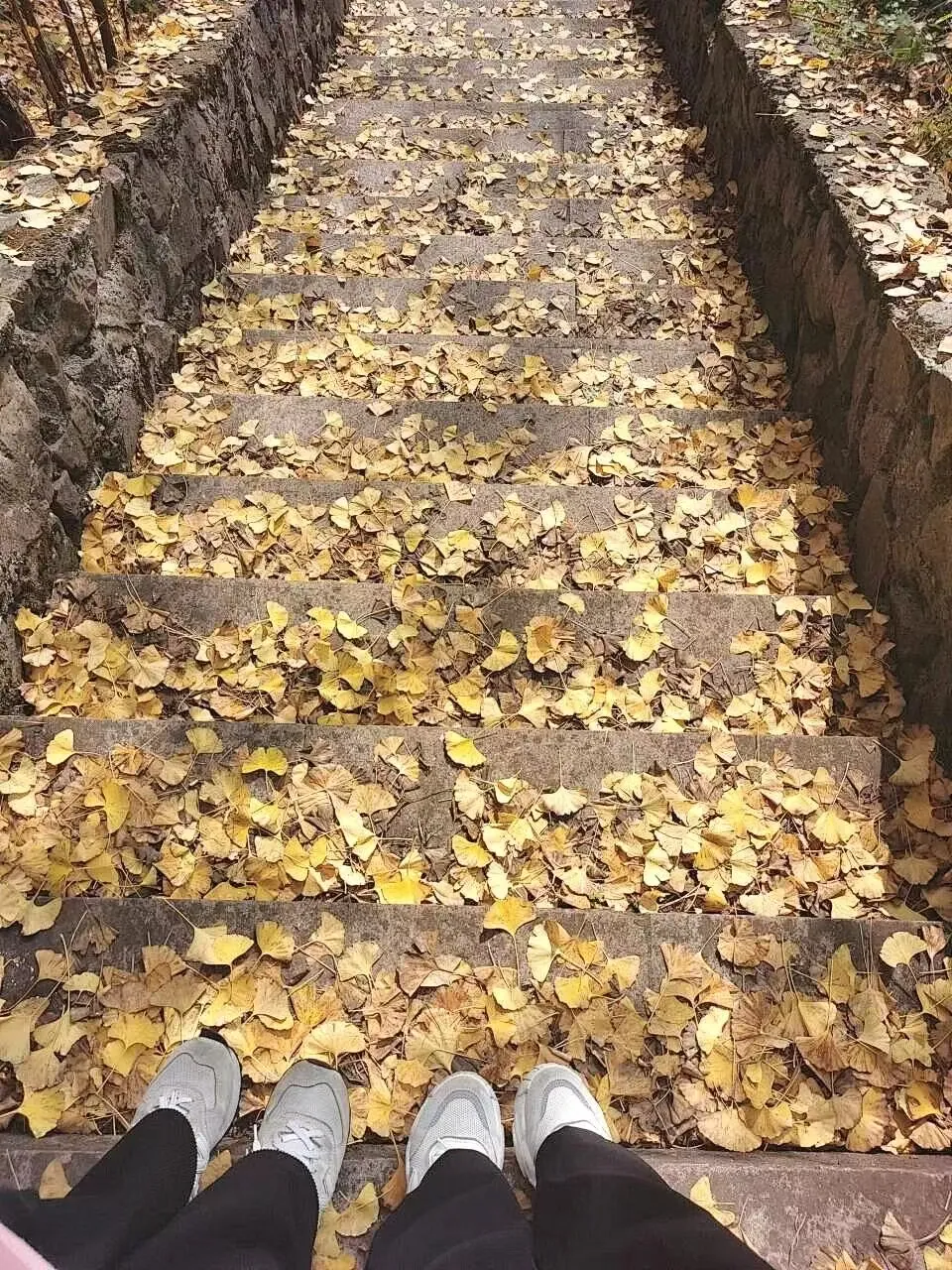 a6f533f704825d3ad4a07befca78843b-sz_2710020 a6f533f704825d3ad4a07befca78843b-sz_2710020