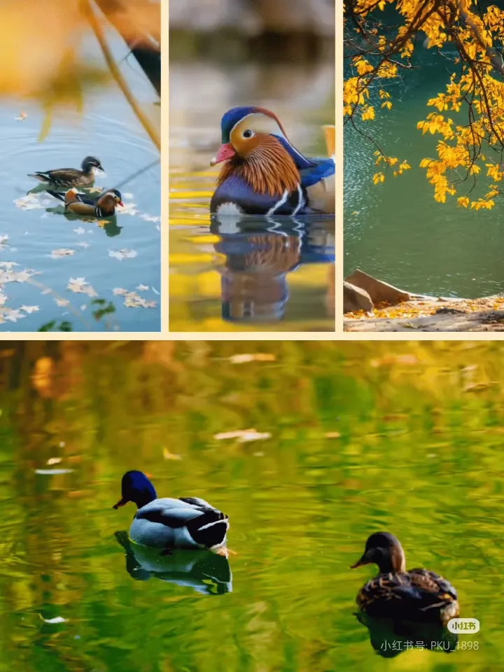 a6fa8c4eaeb3d1bca15d18200061955f-sz_440525