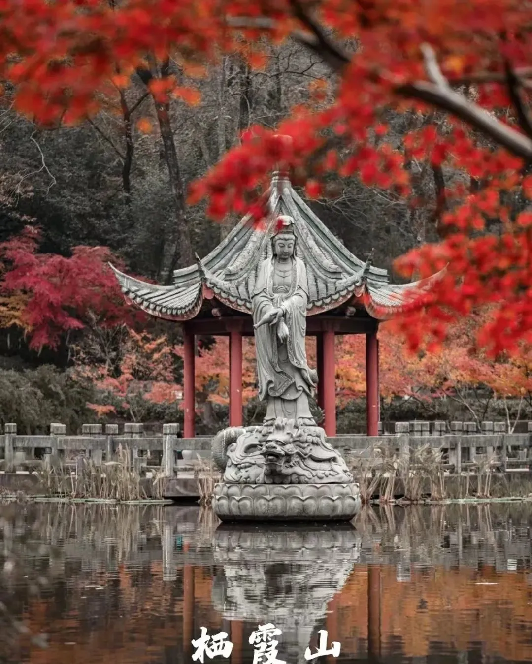 a6fea6cdb19eabb9d6b204d026eb7580-sz_257021