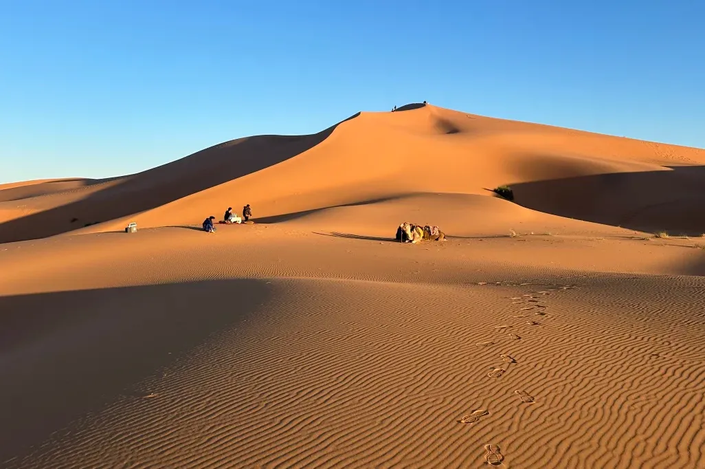 a716c53518dbf032533091d5e85fd65c-sz_1530211