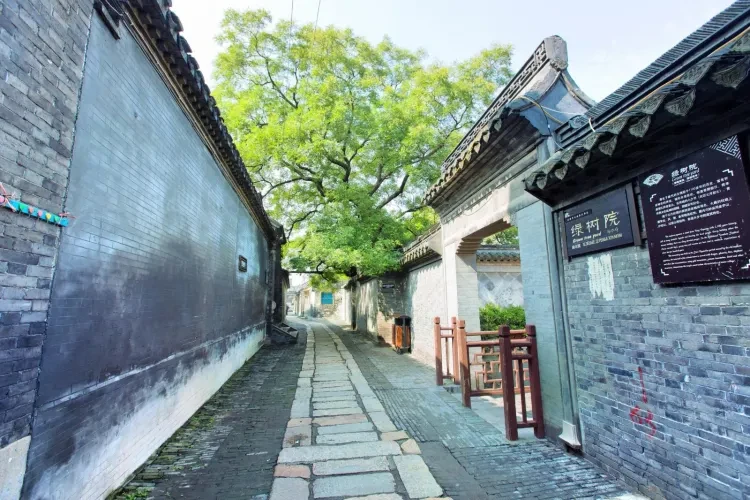 a71eb10644523e1a098f8362ea7a95d6-sz_413567