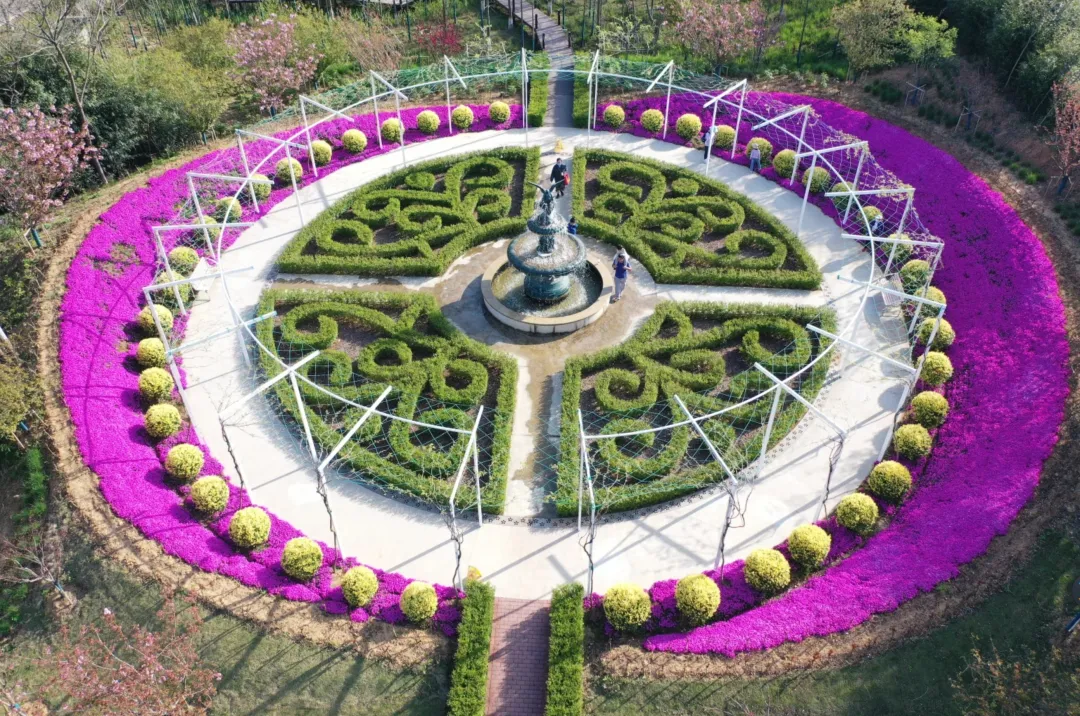 a75055bb8ed68e90958d6bc8a2ed0a3d-sz_3640652 a75055bb8ed68e90958d6bc8a2ed0a3d-sz_3640652