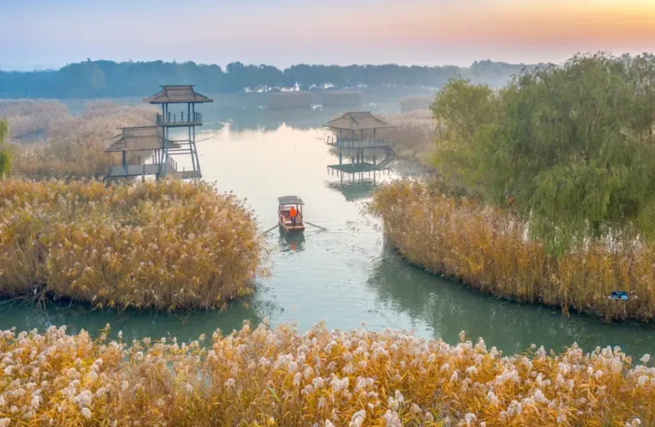 a77e127928a55b64adc392ad7583476e-sz_795454