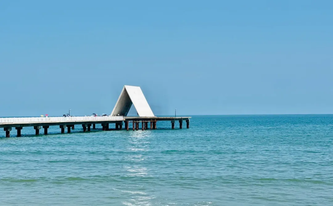 a799ded92ffe1239bddfa41beb2dac15-sz_270726