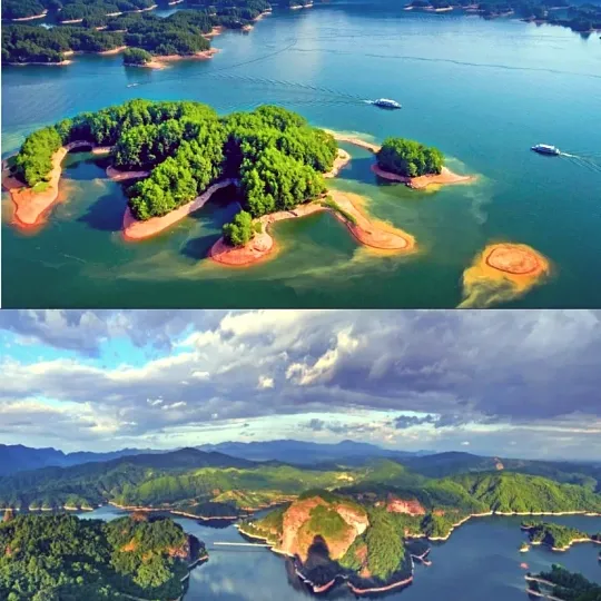 a7a016b69a55cefc733d6b3d4558a95b-sz_607301