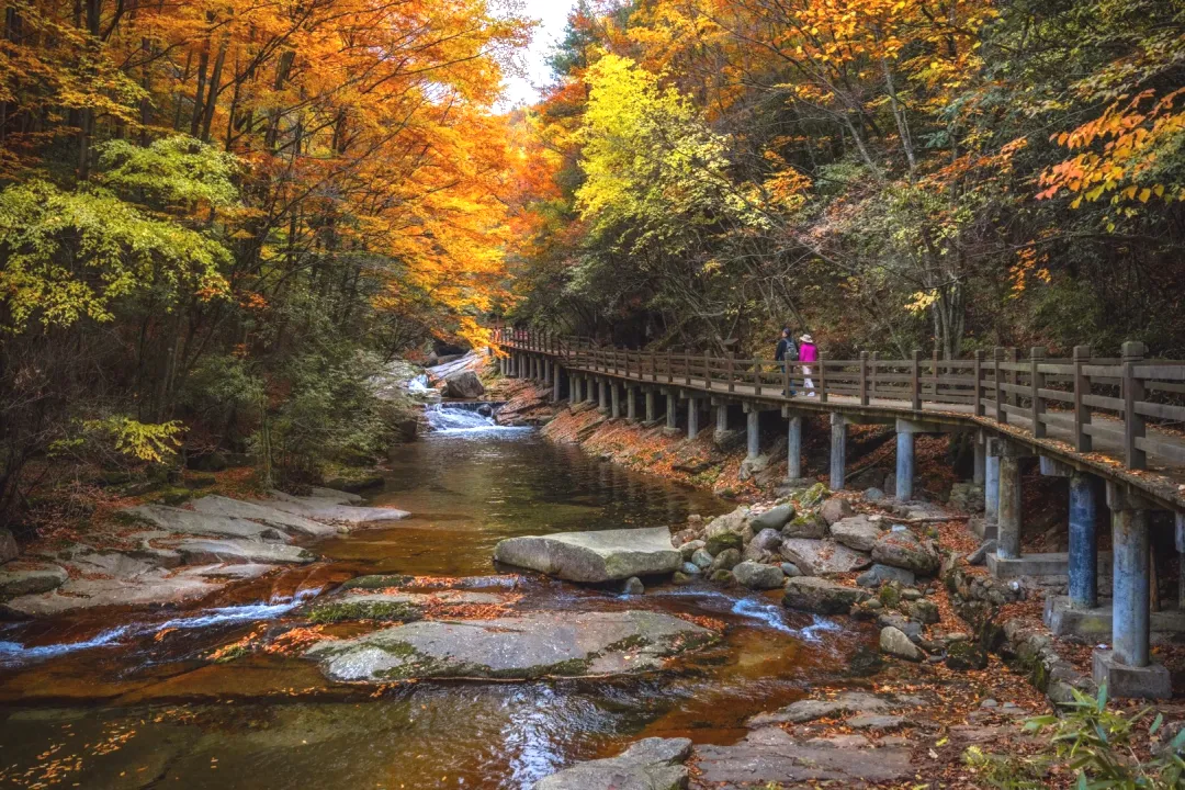 a7a43723e8779d8129b794ee11ad22dd-sz_801039