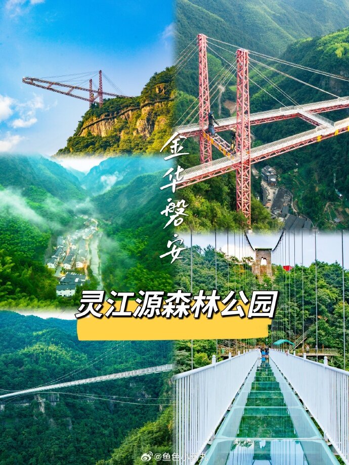 a7aba895c727774200013159c0c25aee-sz_345121-1