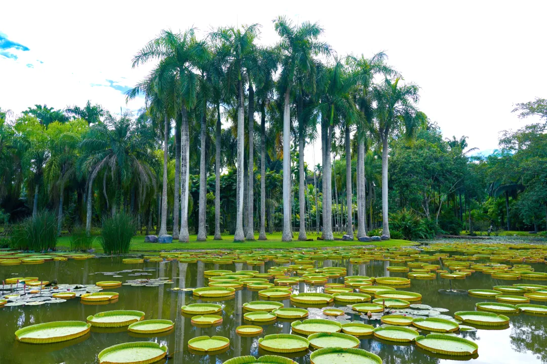 a7b619b061c52d2059f96910feed53eb-sz_2289018 a7b619b061c52d2059f96910feed53eb-sz_2289018