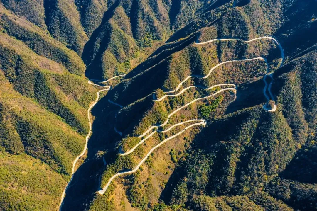 a7b9184ca256a480df3a8c10ff81a655-sz_236297-1