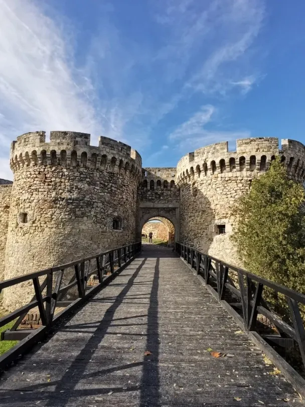 a7d3dbb0fb7e7b1500f1fe41a4d4b41b-sz_428944