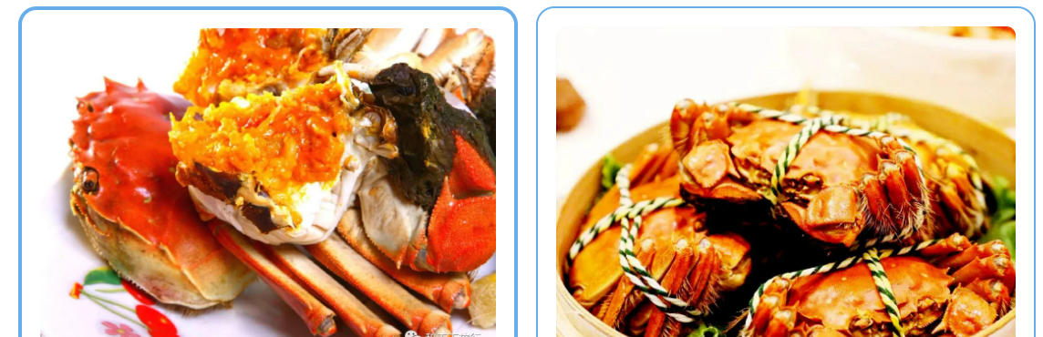 a7db8cd027765f8d1fde9f5d2823d087 a7db8cd027765f8d1fde9f5d2823d087