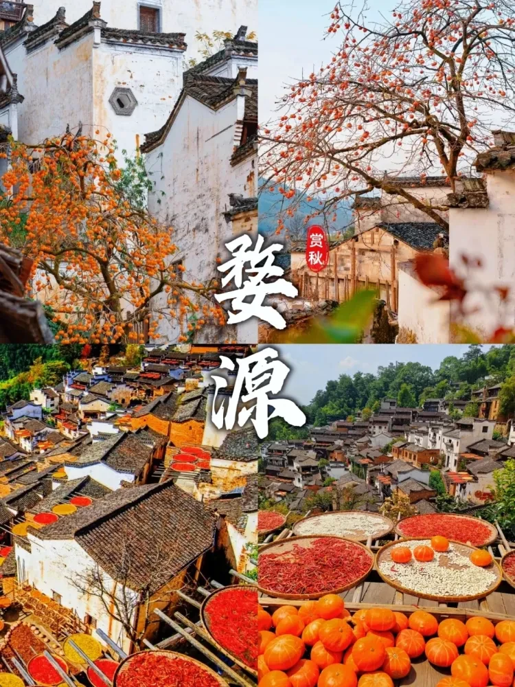 a7e256ac610b9b1b736af9bfb622888e-sz_712874