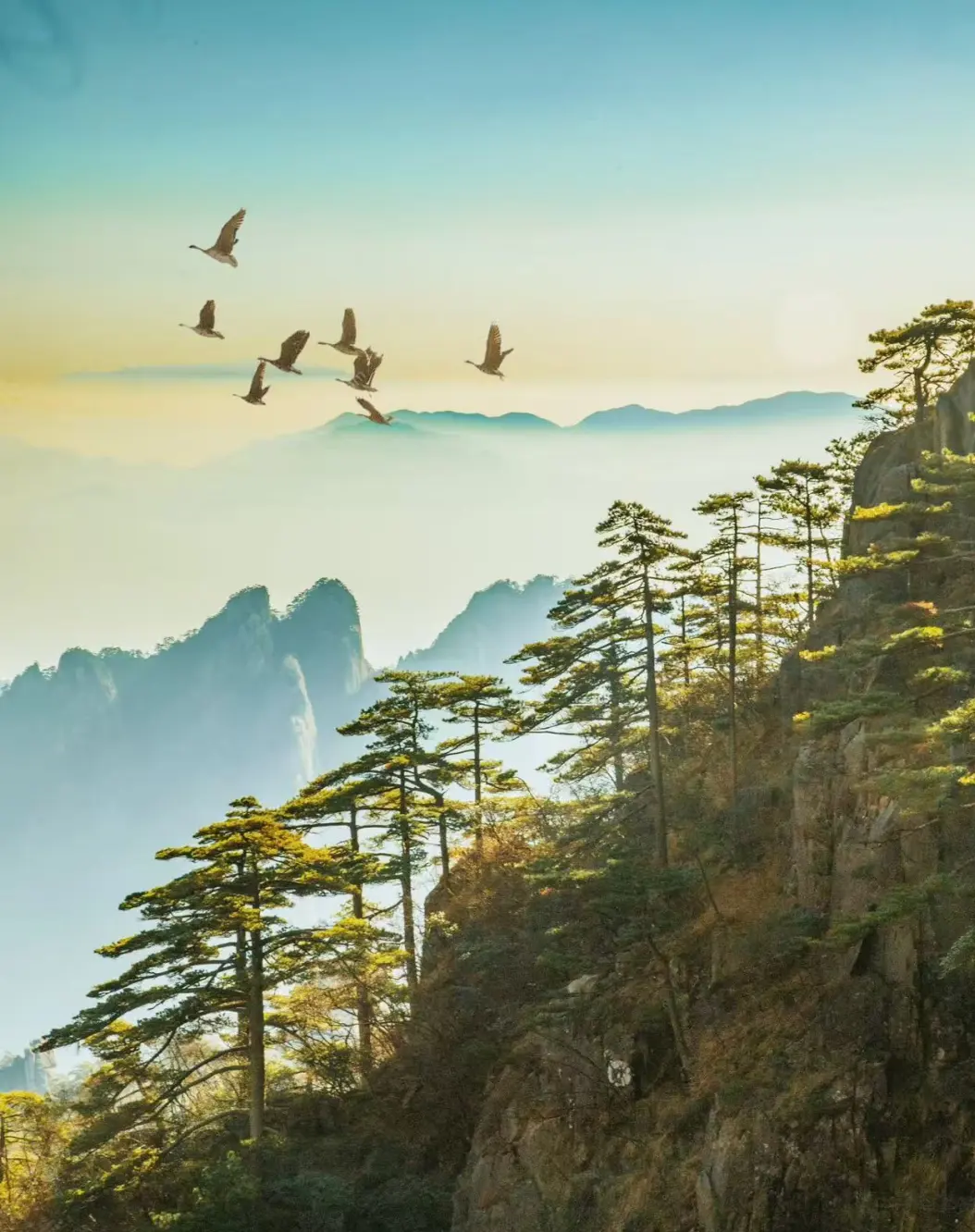 a8484270a6f0aabf07f71959e82fb966-sz_289522