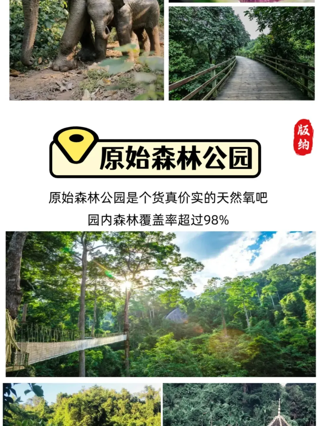 a850e3ede546a809f860c7297dff7d06-sz_707454