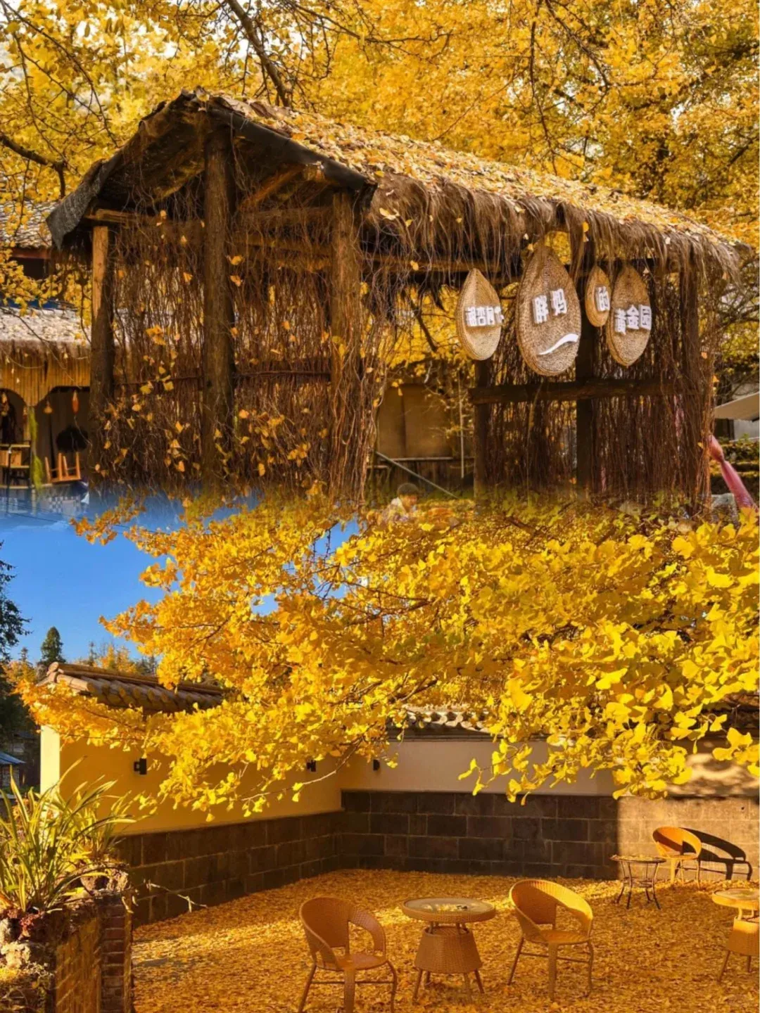 a858d8ecf46a255f49ad6ba684a7be64-sz_4096089