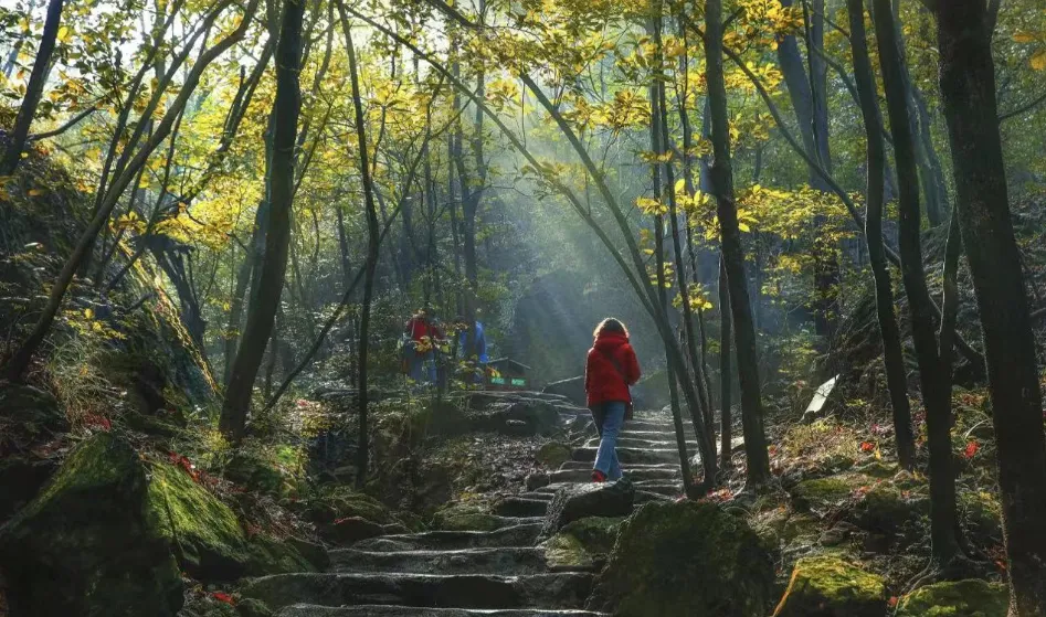 a8d84510a659187f2175422d39b4d182-sz_1134319 a8d84510a659187f2175422d39b4d182-sz_1134319