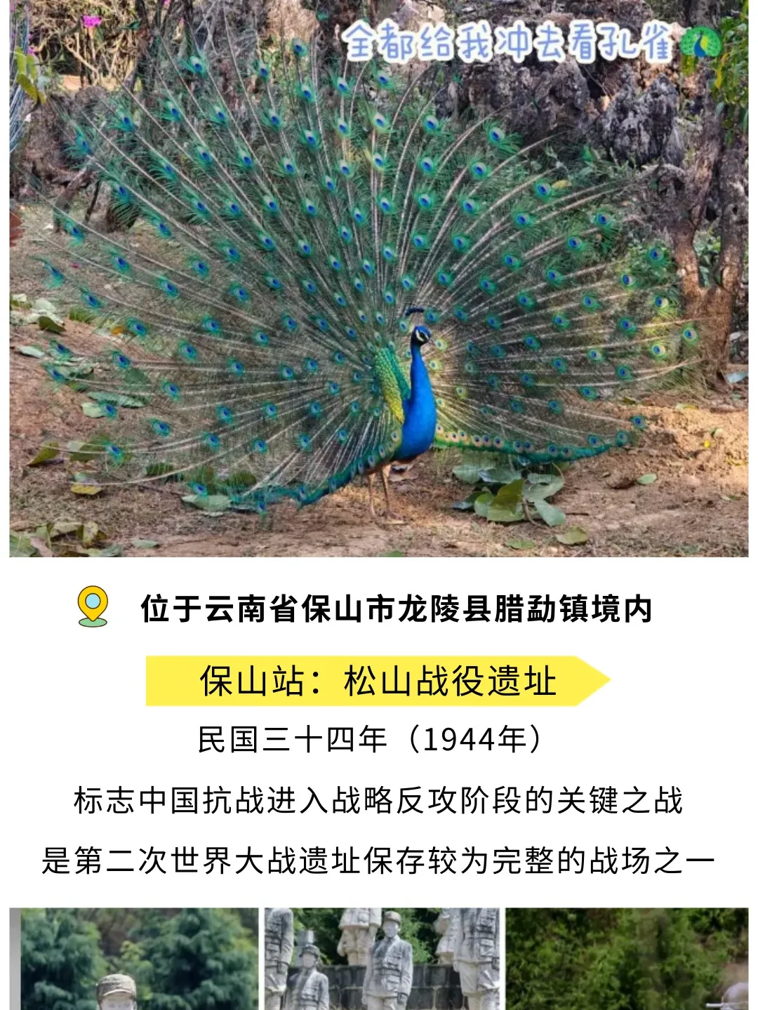 a91d417adc6cbd268dacb7140ac2137d-sz_430315