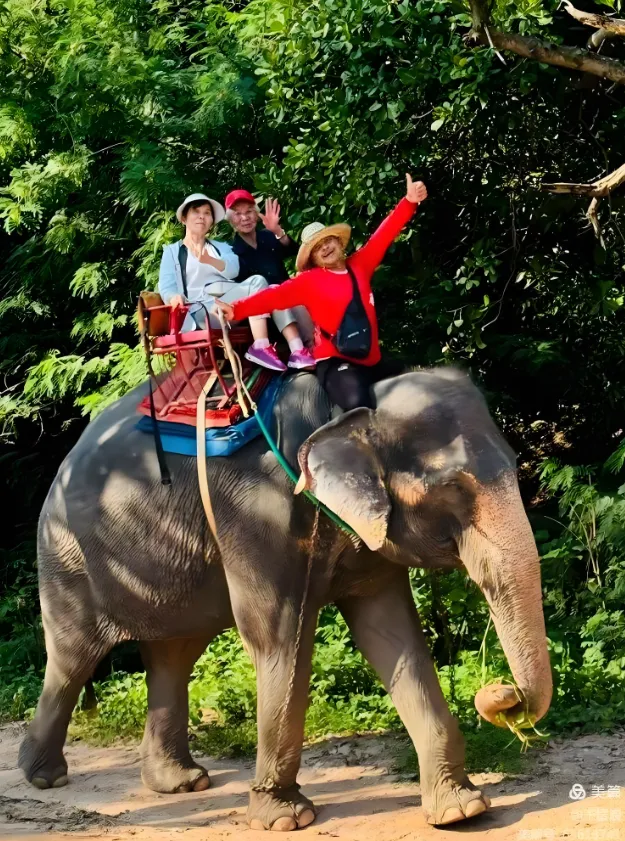 泰国秒杀 一口价 1599 元 12月3日出发 泰国·曼谷·芭堤雅 双飞7天5晚