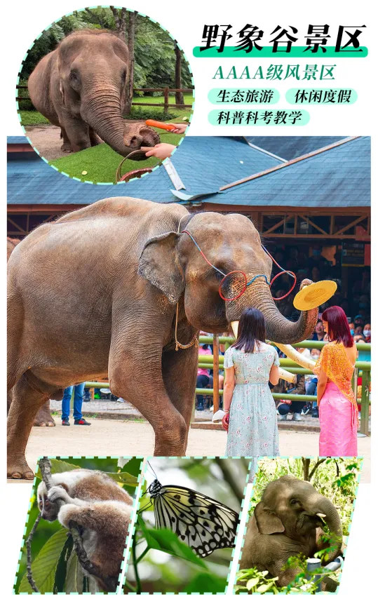 a93a15fa8c2cb2e8a0f8e63de94a0a19-sz_1215316 a93a15fa8c2cb2e8a0f8e63de94a0a19-sz_1215316