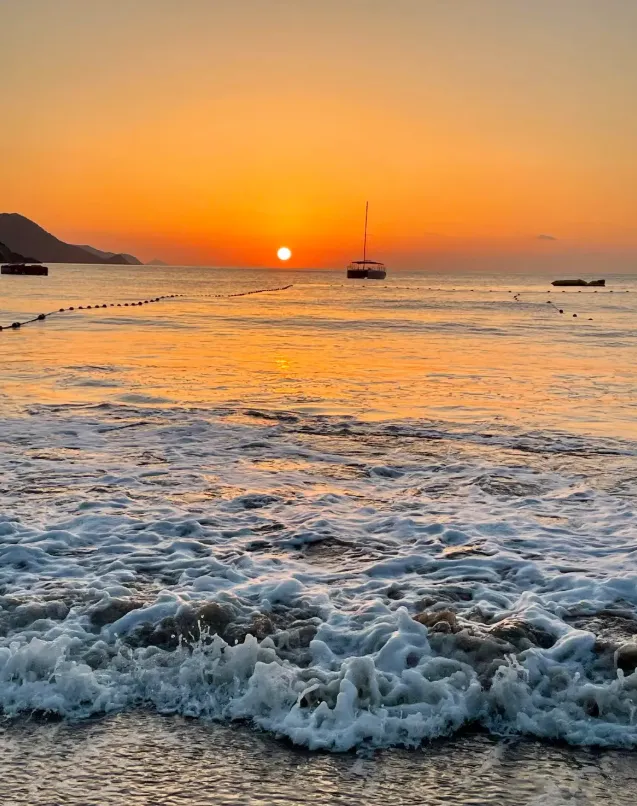 a9859327f492ba2f0b13f2ab473668d3-sz_798462-1