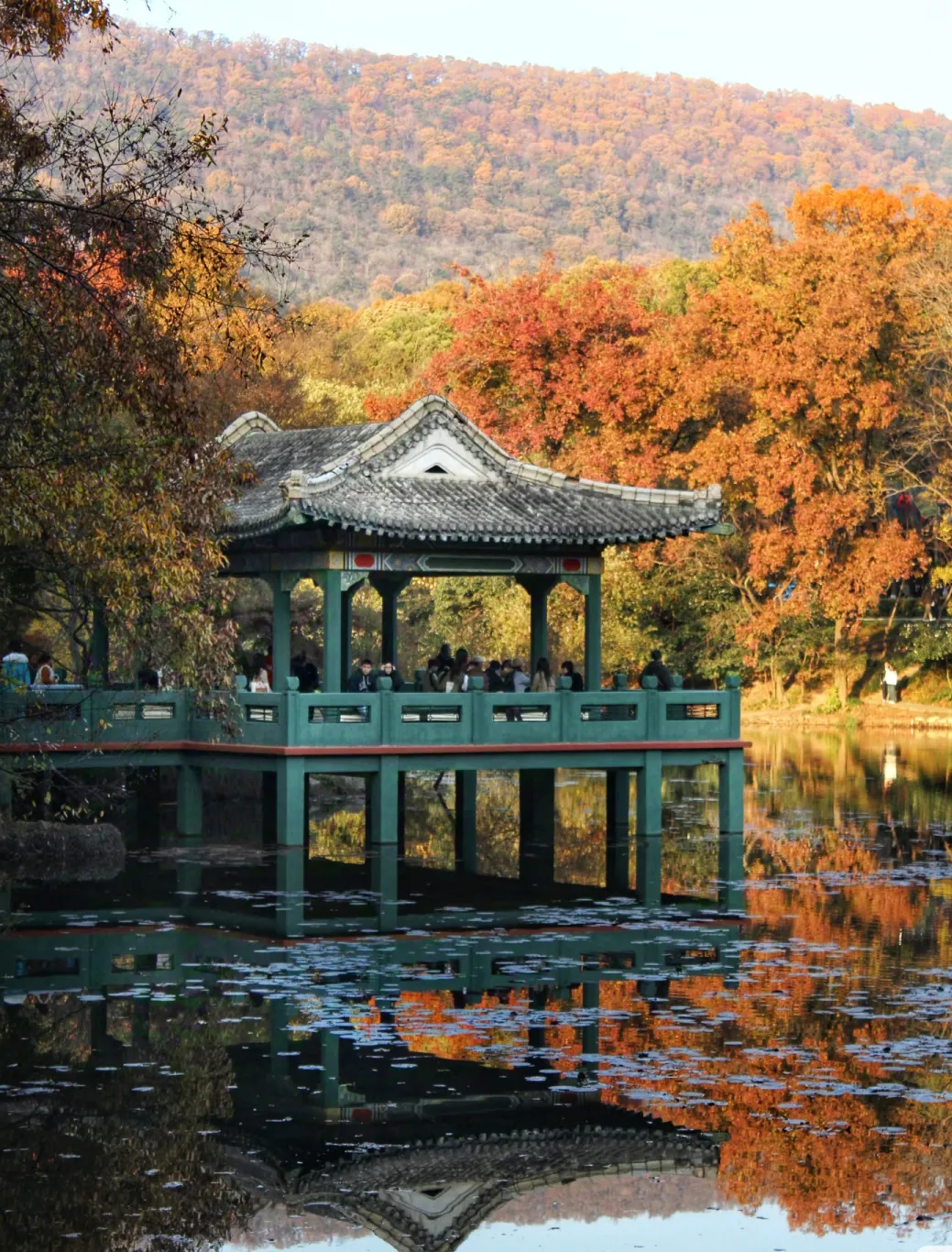 a996449962686fa76fe179fa42498080-sz_2002898 a996449962686fa76fe179fa42498080-sz_2002898