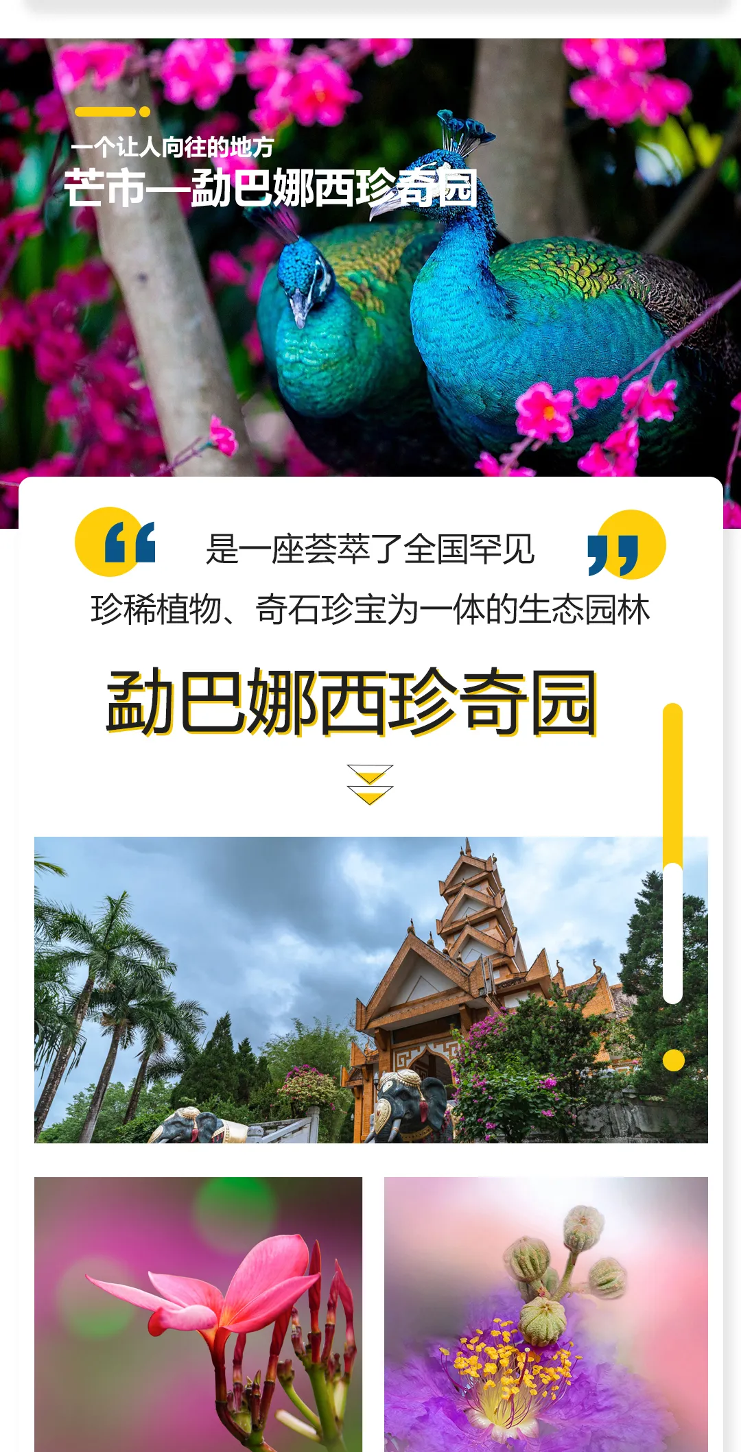 a9edef18dc573d13717bbf3b0b443c93-sz_1612030-1 a9edef18dc573d13717bbf3b0b443c93-sz_1612030-1